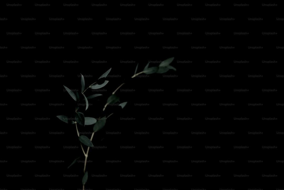 暑期大剧盘点：《幻城》《半妖倾城》《超少年暗码》